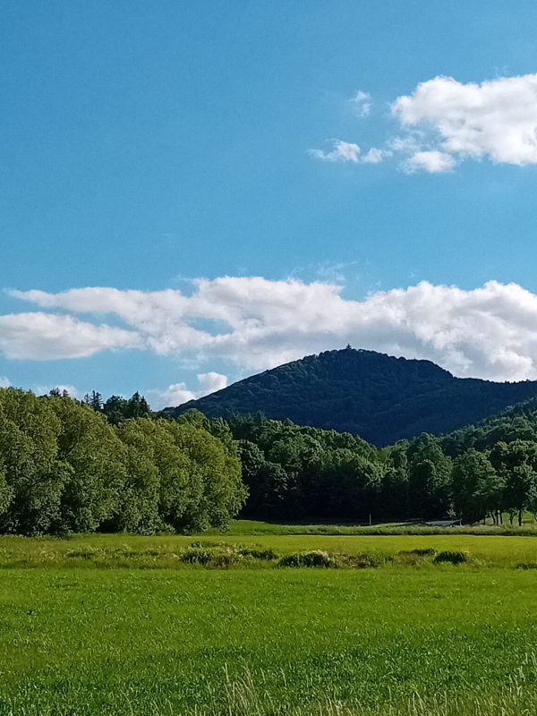 Blick auf die Lausche